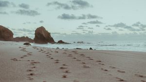 Footprints