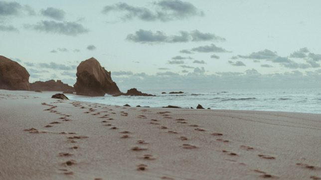 Footprints